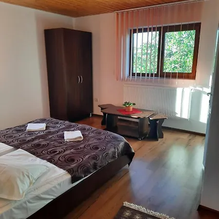 Gold Fayen House Cheile Turului Accommodatie bij particulieren Tureni