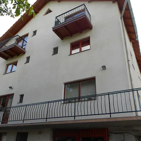 Gold Fayen House Cheile Turului * Tureni