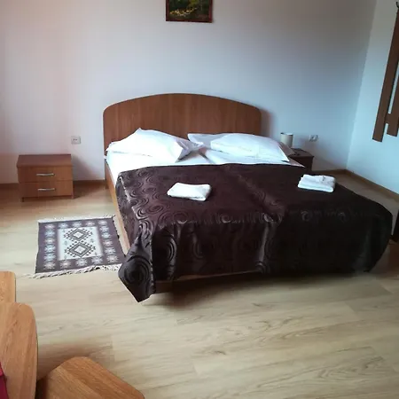 Gold Fayen House Cheile Turului Accommodatie bij particulieren Tureni
