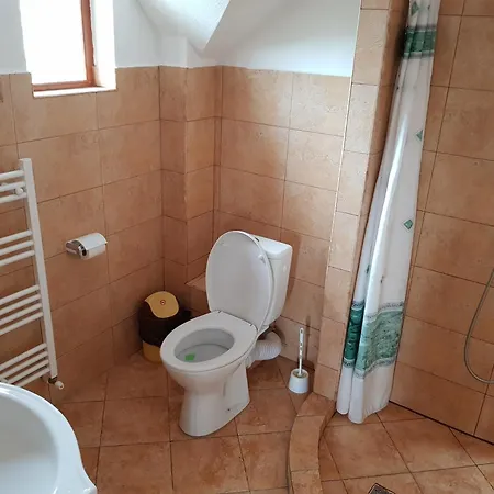 Gold Fayen House Cheile Turului Accommodatie bij particulieren *