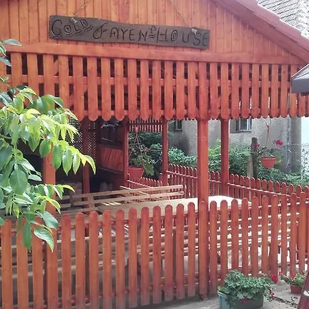Accommodatie bij particulieren Gold Fayen House Cheile Turului